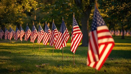 American flags displayed in a row on a grassy field under the sunlight in a patriotic display