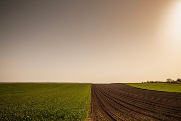 Panorama of Vojvodina fieldsin serbia showing green crops beside freshly ploughed furrows on the...