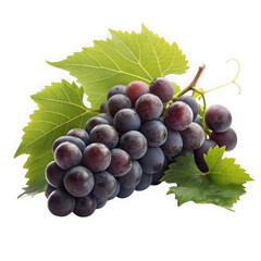 Fototapeta premium Dark grapes with green leaves isolated on transparent background