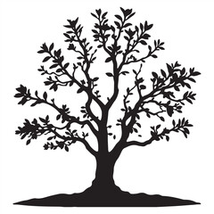Obraz premium A classic black and white vector silhouette of a manzanita tree on a white background, rendered in the style of a cast bronze surface with an antique patina finish, emphasizing timeless elegance.eps