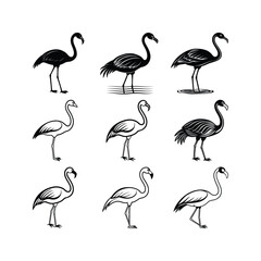 Black white silhouette flamingo standing bird
