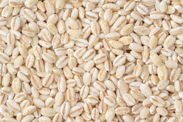 胚芽もち麦のクローズアップ