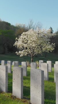 Row of gravesites of fallen soldiers at a war cemetery in Mont Royal Cemetery, Montreal, Quebec, Canada