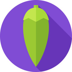 Spicy Jalapeno Pepper