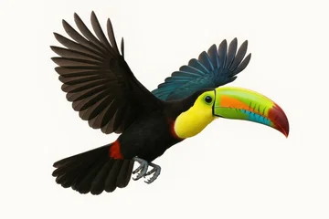 Fotobehang Toekan Vibrant toucan in flight with wings spread showing tropical rainbow plumage  © Bijac
