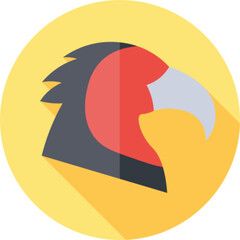 Scavenging Bird Behavior