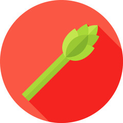 Fresh Asparagus Spears