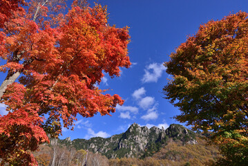 秋晴れに映える紅葉と瑞牆山