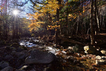 渓流の秋　