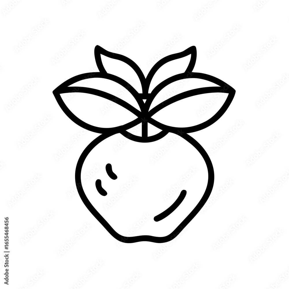 Poster outline drawing of a ripe apple with three leaves attached to the stem on a white isolated backgroun