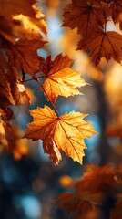 Autumn leaves, vibrant golden hues, in soft focus