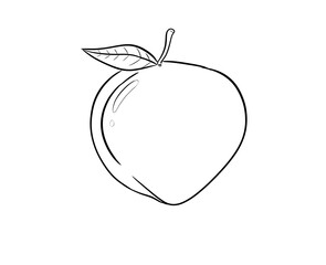 peach digital illustration drawing white background