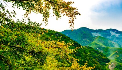 Obraz premium Lush green mountains rise majestically against a partly cloudy sky in the serene hills of northern Pakistan, creating a peaceful and scenic landscape.