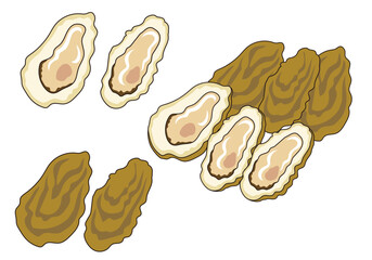 牡蠣のイラストセット