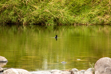 OASIS SAN ISIDRO LA PURISIMA BAJA CALIFORNIA SUR MEXICO