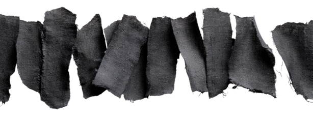 Dark, textured, irregular shapes arranged in a horizontal line