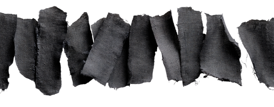 Dark, textured, irregular shapes arranged in a horizontal line