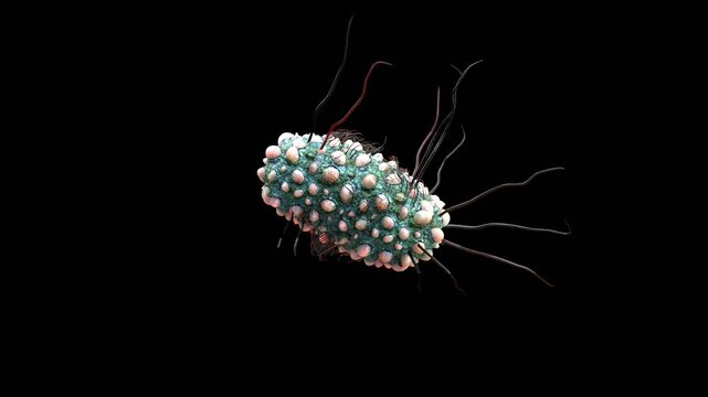 3D Animation of Gut Bacteria Microbiome | Alpha Channel