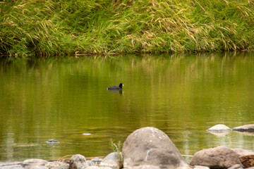 OASIS SAN ISIDRO LA PURISIMA BAJA CALIFORNIA SUR MEXICO