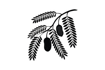 Tamarind branch with fruit silhouette isolated on white background