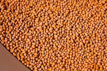 Brown expanded clay pebbles used as a growing medium for plants in hydroponics and gardening.

คำแปลไทย: