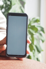 Smartphone held in hand near green plant indoors