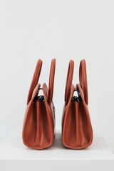 Twin Elegance: Symmetry in Style