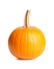 Obraz premium A small, round, orange pumpkin sits on a white background. Its stem is light brown
