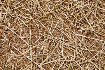 Layer of straw background. Straw ground covering.