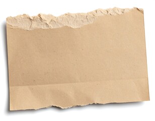 Obraz premium Torn piece of light brown kraft paper