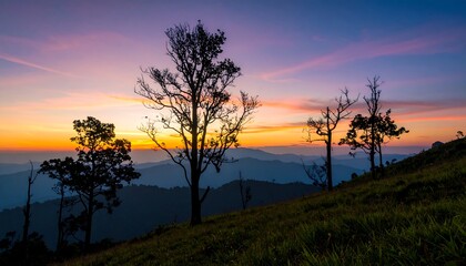 Silhouetted trees at sunset over mountains