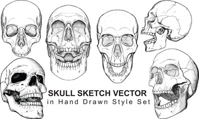 Skull Vector in Hand Drawn Style Set