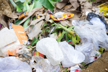 Plastic Waste and Organic Trash Mixed in Open Landfill