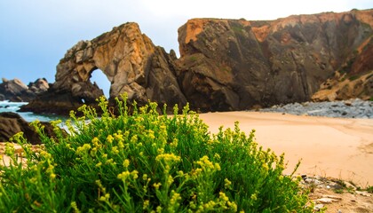 Coastal archway and beach