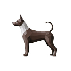 black cat on white background