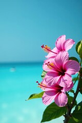Bold hibiscus and orchids against azure Summer holiday backdrop, minimal style , minimal style, composition, holiday
