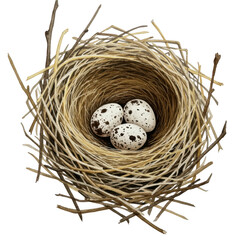 Obraz premium Bird nest with eggs isolated on transparent background