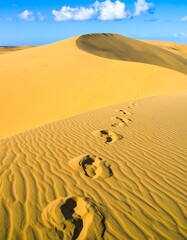 Footprints on a golden desert dune