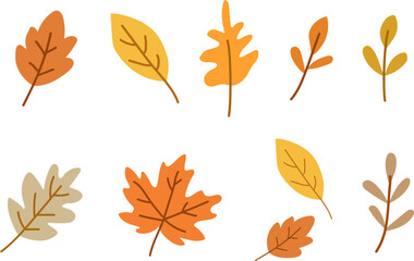 Autumn Leaves Vector Set Illustration / 가을 낙엽 세트 벡터