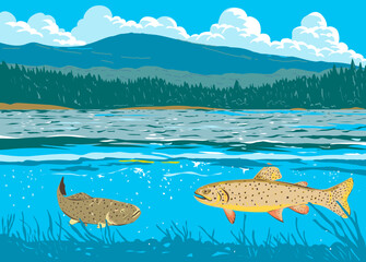 WPA poster art of an Apache trouts or Arizona trout in Lee Valley Lake in the Apache Sitgreaves National Forests in Arizona done in works project administration or federal art project style.