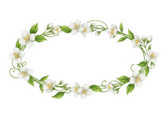 White jasmine floral oval frame isolated on transparent background