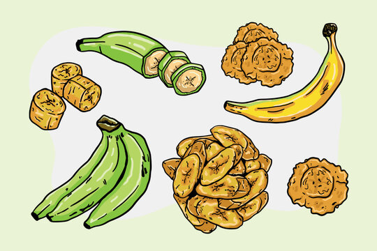 illustration of plantains, plantain chips, patacones or tostones