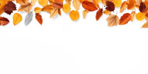 A colorful autumnal border of leaves in shades of orange, yellow, and brown against a transparent background