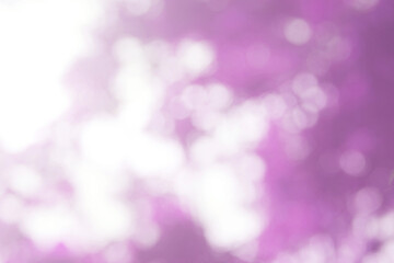 Blur purple bokeh nature background in abstract style