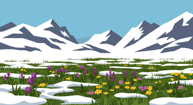 Snowy mountains backdrop a meadow with purple and yellow flowers amidst melting patches of snow