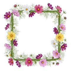 Fototapeta premium Square frame of colorful cosmos flowers and green vines isolated on white isolated on transparent background