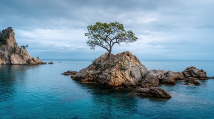 Naklejka premium A lone tree is growing on a rock in the ocean. The scene is calm and peaceful, with the tree providing a sense of stability and strength in the midst of the water