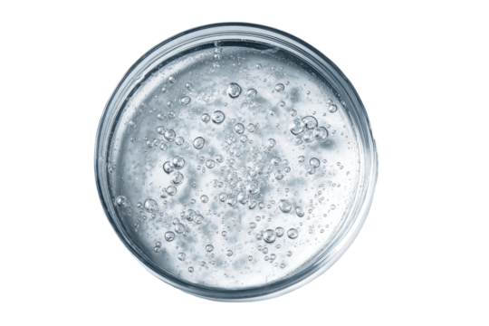 Clear gel serum in a round dish, top-down view, showing many small air bubbles