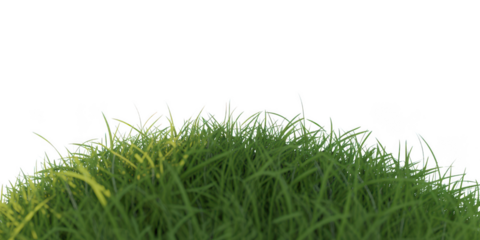 Lush green grass mound isolated on transparent background