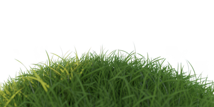 Lush green grass mound isolated on transparent background